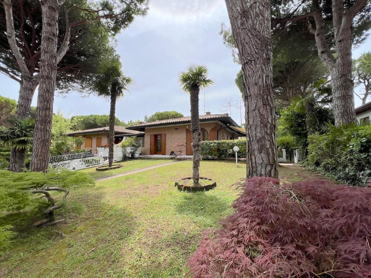 Villa Palm リニャーノ・サッビアドーロ エクステリア 写真